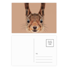 Little Brown Long Ears Squirrel Animal Postcard Set Birthday Mailing Thanks Greeting Card