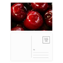 Temperate Red Fruits Picture Cherry Postcard Set Birthday Mailing Thanks Greeting Card