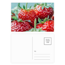 Fresh Strawberry Picture Nature Photograph Postcard Set Birthday Mailing Thanks Greeting Card