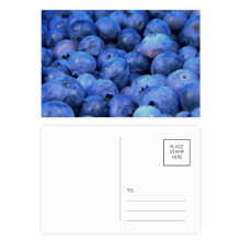 Fresh Blueberry Tropical Fruit Picture Postcard Set Birthday Mailing Thanks Greeting Card