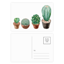 Succulents Cactus Potted Illustration Postcard Set Birthday Mailing Thanks Greeting Card