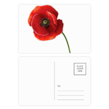 corn  red flower art painting  postcard set birthday mailing thanks greeting card