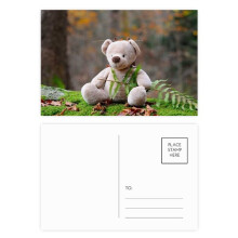 bear ry science nature postcard set birthday mailing thanks greeting card