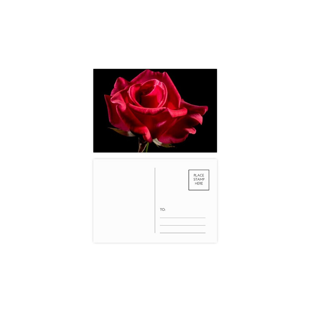 Dark Red Roses Flowers Postcard Set Birthday Mailing Thanks Greeting Card-image-OPC-PFJMDHF-NEW