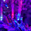 16m 200 LED Cluster Christmas Lights with Timer in Red, White & Blue 3