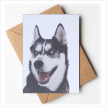 big dog snow hupicture greeting cards you are invited invitations