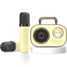 Mini machine de karaoké pour enfants et adultes, haut-parleur Bluetooth portable amusant avec 2 microphones sans fil, son stéréo amélioré