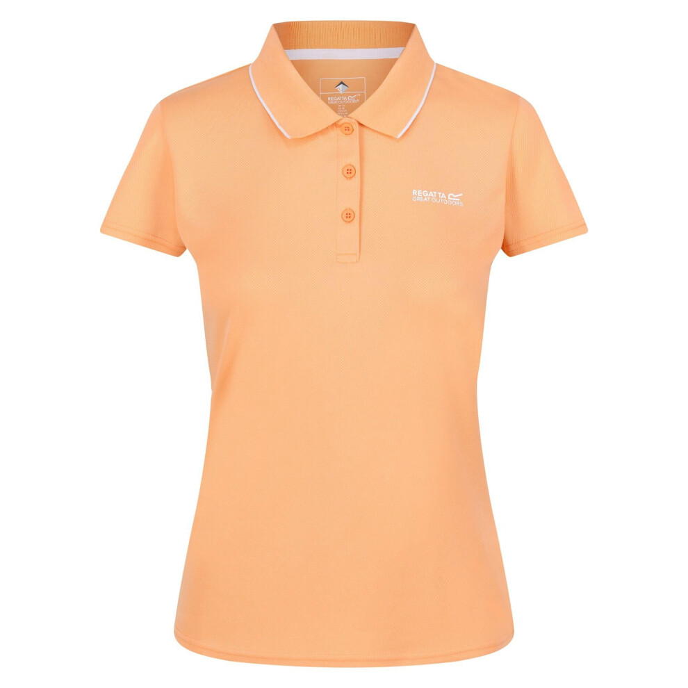 (10 UK, Papaya) Regatta Womens/Ladies Maverick V Polo Shirt