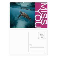 Ocean Sea Turtle Science Nature Miss Postcard Set Thanks Card Mailing Side 20pcs
