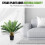 Large Artificial Palm Tree 60cm Cycas Realistic Plant Leaf Design UK 6