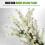 Artificial Cherry Blossom Tree Realistic White Wintersweet Flowers Plant in Pot 5