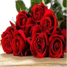 (200pcs-rose-NO.17) Desert Rose Flower Adenium Lily Rose