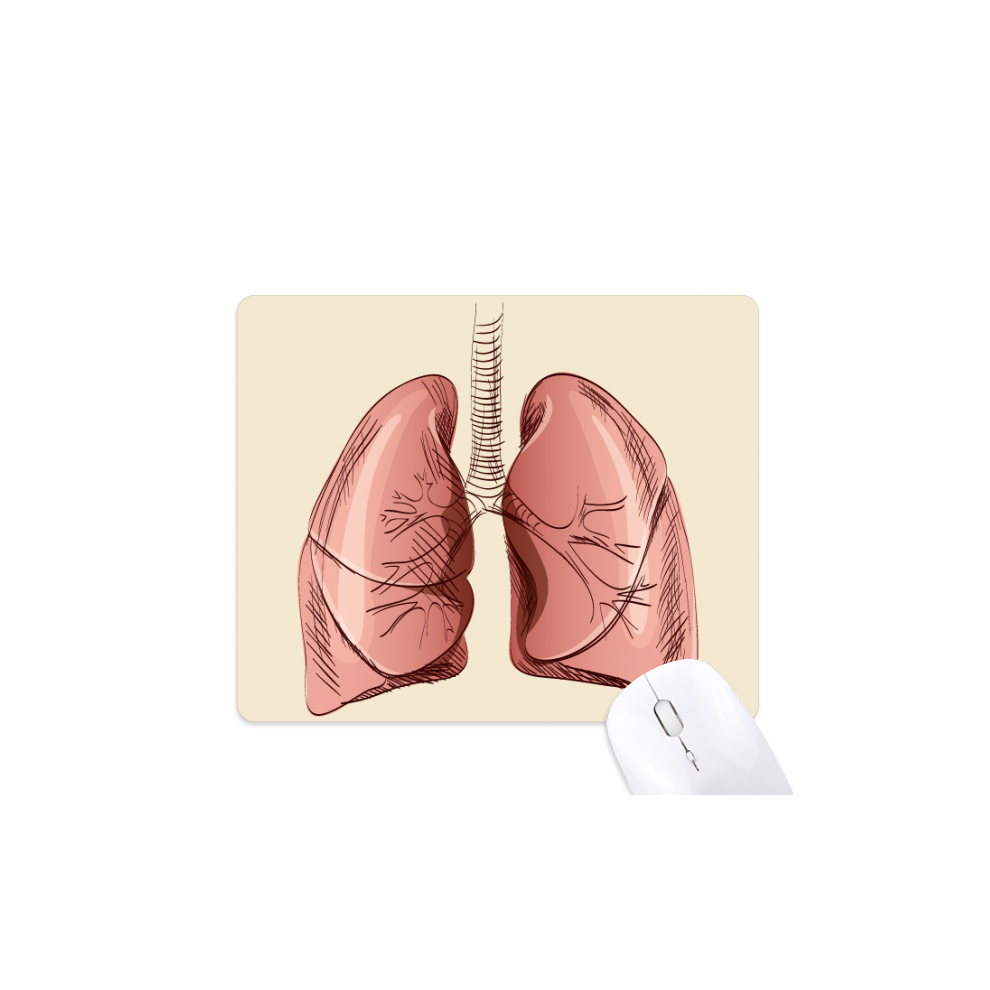 Organ Lung Human Illustration Mouse Pad Non-Slip Rubber Mousepad Game Office 697184811876
