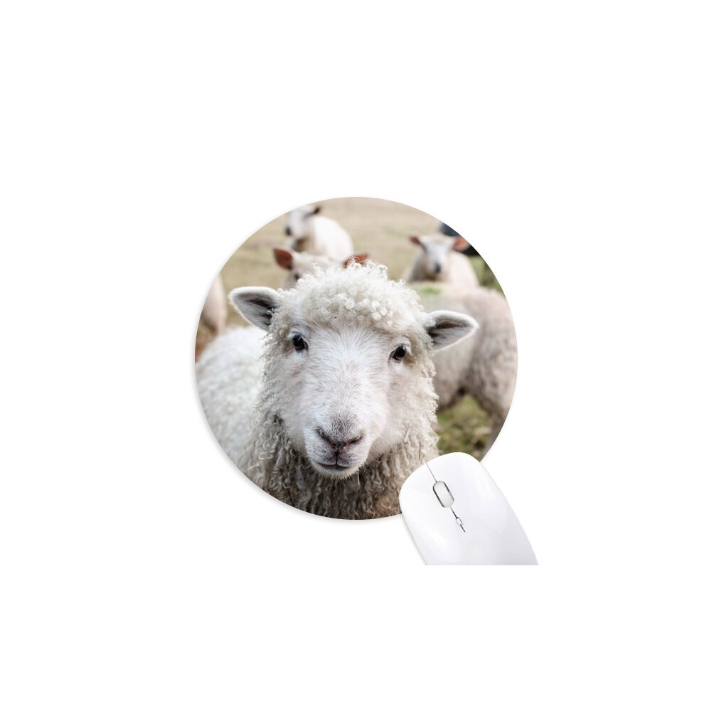 M Sheep Animal Picture Mouse Pad Comfortable Game Office Mat 697184812347
