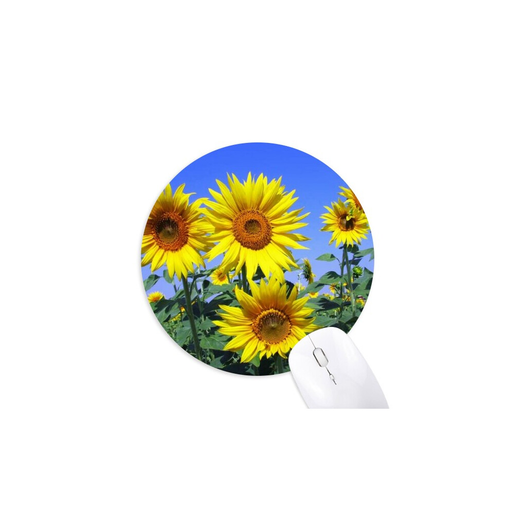 Sunshine Flowers Sunflowers Mouse Pad Comfortable Game Office Mat Blue 697184813016