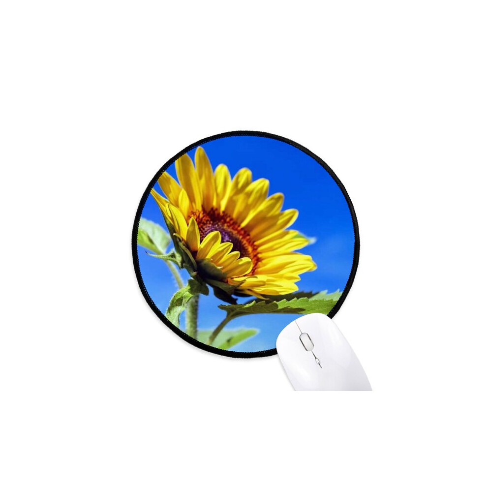 Sunflowers Sunshine Flower Mouse Pad Desktop Office Round Mat For Computer Blue 697184821189