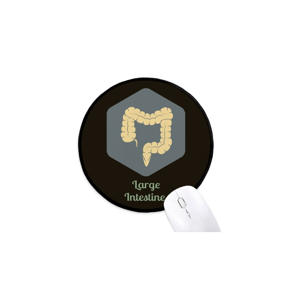 Body Large Intestine Mouse Pad Desktop Office Round Mat For Computer 697184821691