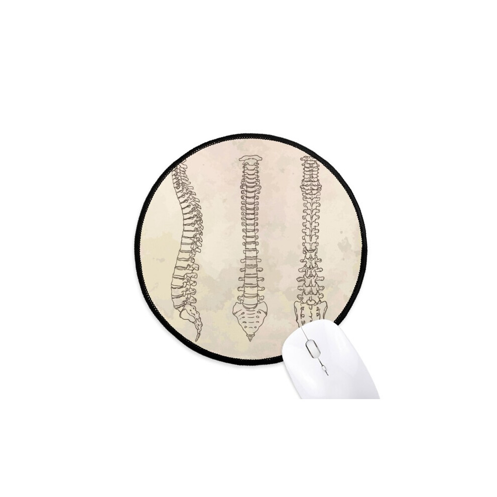 Skeleton Sketch Spine Human Mouse Pad Desktop Office Round Mat For Computer 697184822346