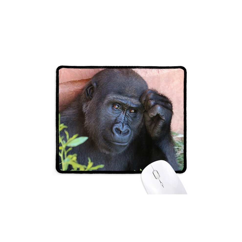 M Animal Chimpanzee Mousepad Stitched Edge Mat Rubber Gang Pad 697184824791