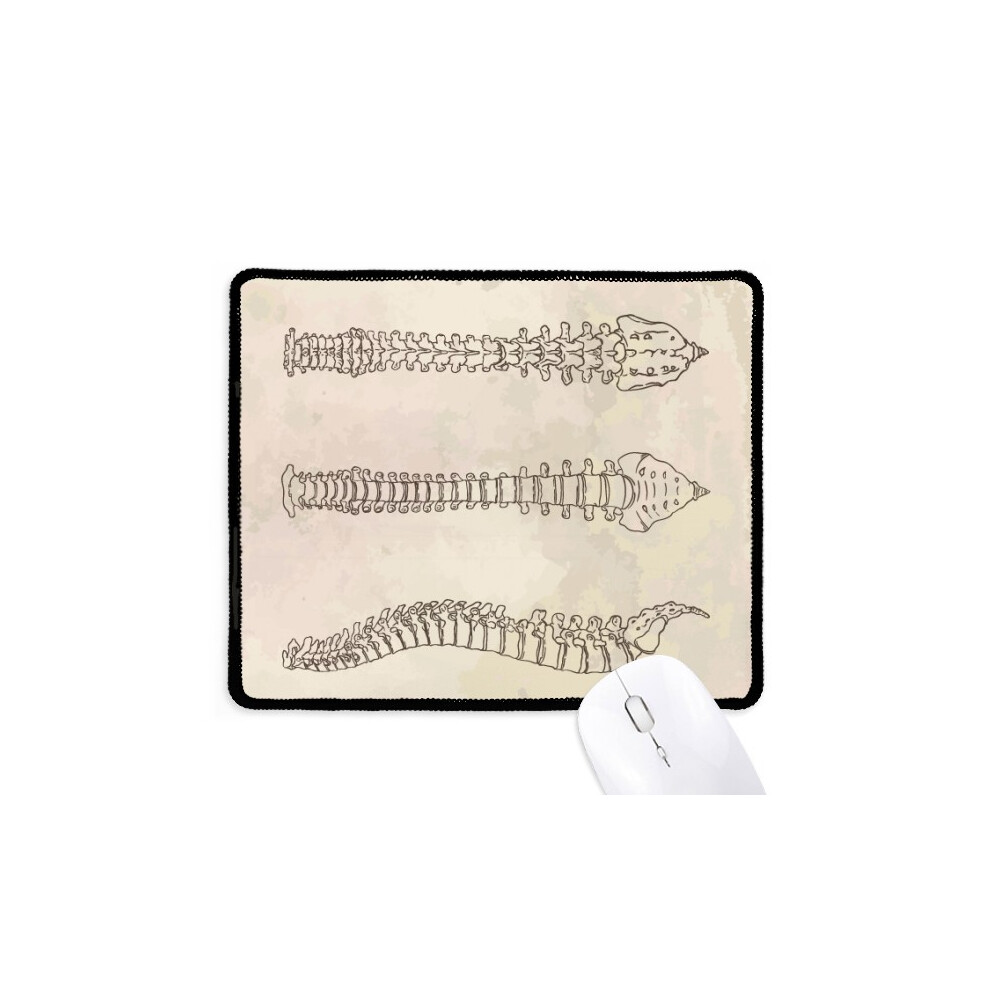 Skeleton Sketch Spine Human Mousepad Stitched Edge Mat Rubber Gang Pad 697184825132