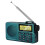 Portable Bluetooth Radio with AM/FM, DSP Chip, USB Charging 1