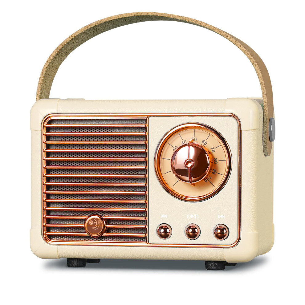 Chronus Mini Bluetooth Speaker With Fm Radio, Retro Radio Bluetooth Speaker Rechargeable, Bluetooth 5.0/Superior Good Sound, Supports 6976918040978