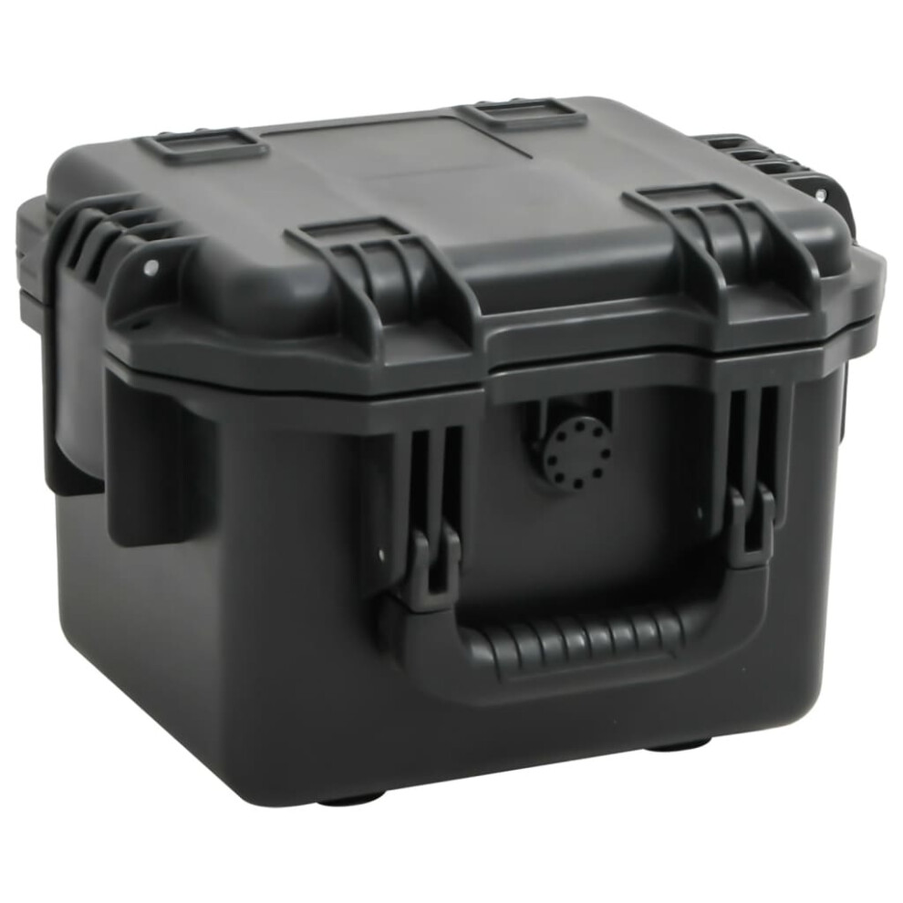 Photos - Tool Box VidaXL Portable Flight Case Black PP Protective Hard Case Carry Case (30 x 24.5 x 20 cm)