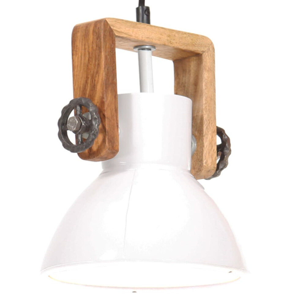 (white) vidaXL Industrial Hanging Lamp 25 W Round E27 Light Multi Colours Multi Sizes