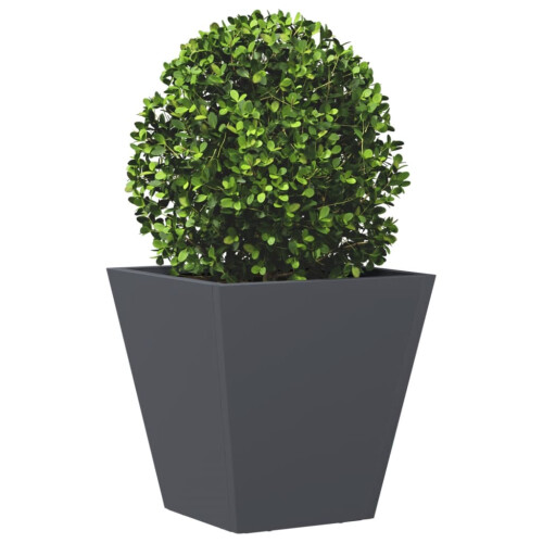 VidaXL vidaXL Pflanzkübel Anthrazit 30x30x30 Stahl 2
