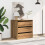 VidaXL vidaXL Kommode Artisan-Eiche 60x41x58 cm Holzwerkstoff 3