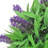 VidaXL vidaXL Buchsbaumkugel mit Lavendel 2 Stk. Künstlich 28 cm 3