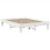 VidaXL vidaXL Bed Frame without Mattress White 150x200 cm King Size Solid Wood Pine 5