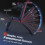FLYBIRD Adjustable Bench 4