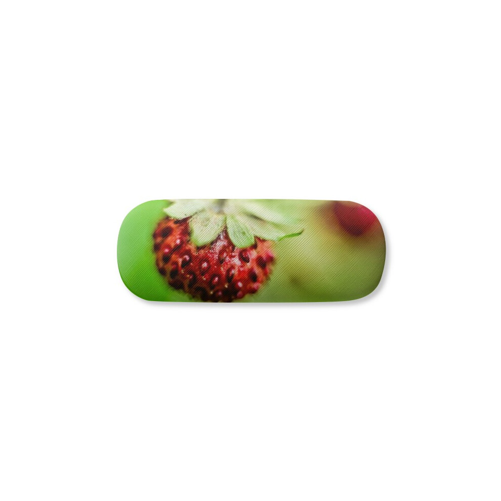 Diythinker Fresh Berry Picture Nature Photograph Glasses Case Eyeglasses Hard Shell Storage Spectacle Box