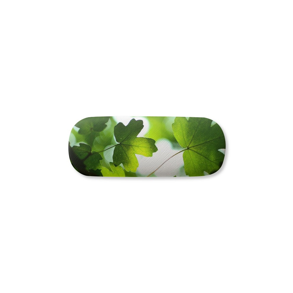 Diythinker Sunshine Picture Nature Glasses Case Eyeglasses Hard Shell Storage Spectacle Box