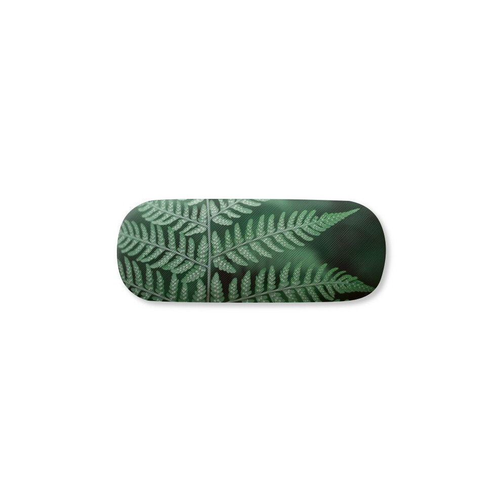 Diythinker Picture Nature Photography Glasses Case Eyeglasses Hard Shell Storage Spectacle Box