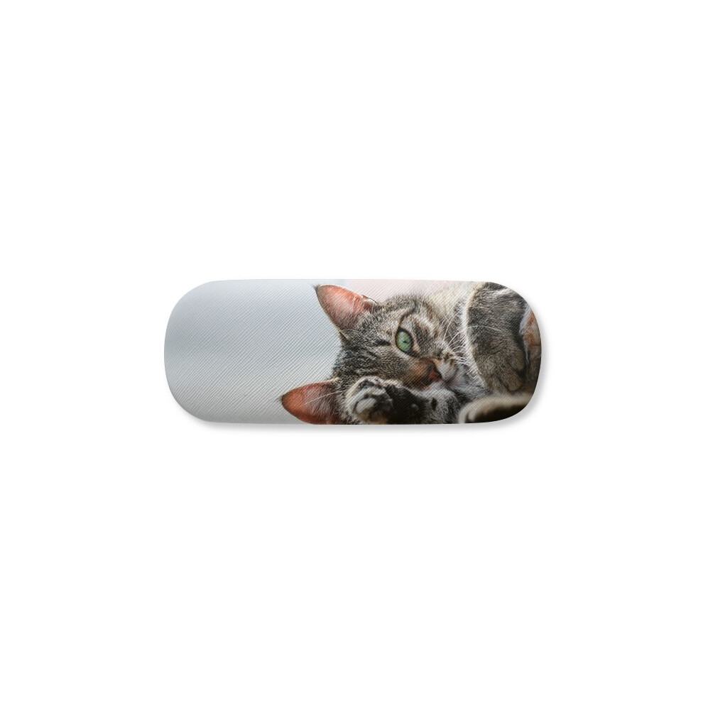 Diythinker Animal Activity Cat Photograph Picture Glasses Case Eyeglasses Hard Shell Storage Spectacle Box