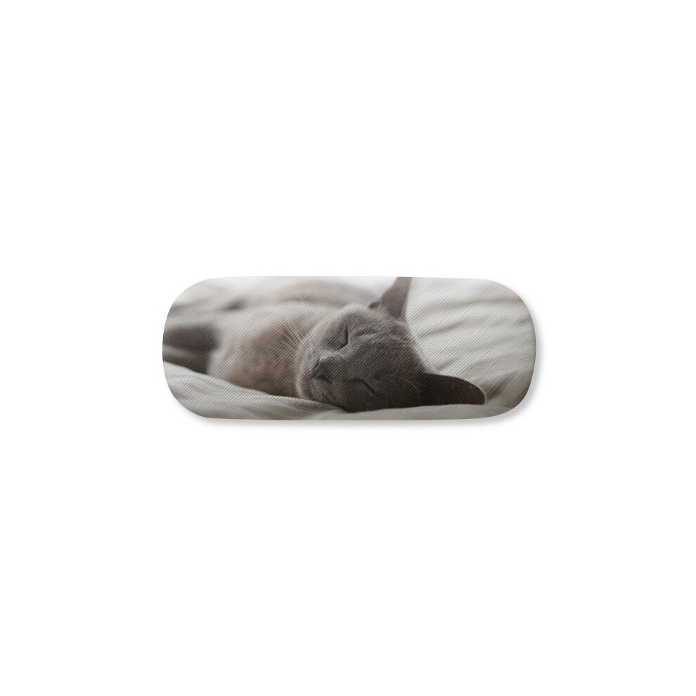 Diythinker Gray Animal Cute Cat Photograph Glasses Case Eyeglasses Hard Shell Storage Spectacle Box