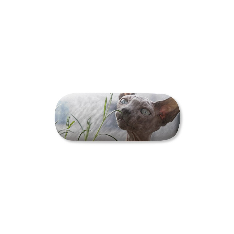 Diythinker Gray Animal Thin Cat Photograph Glasses Case Eyeglasses Hard Shell Storage Spectacle Box