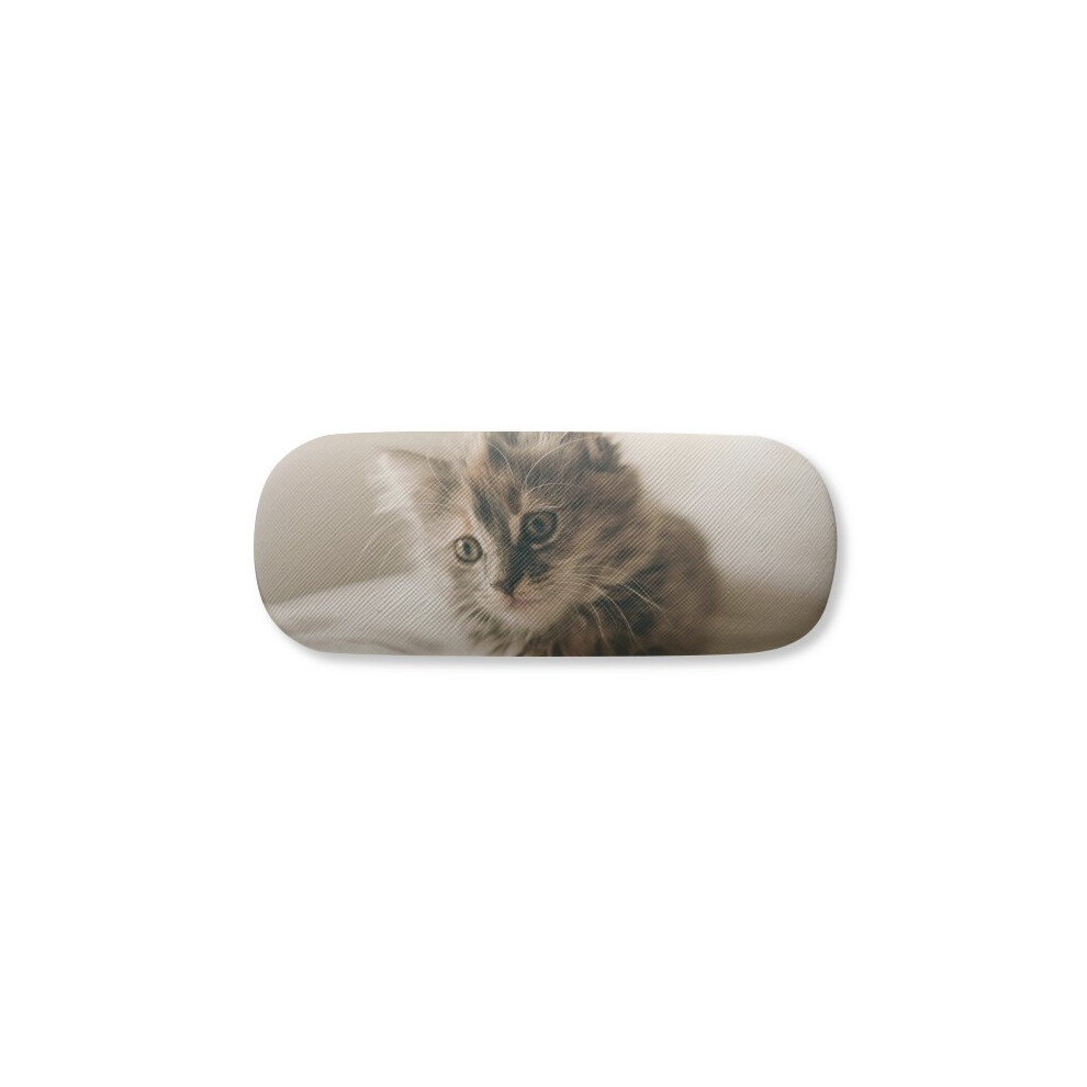 Diythinker Gray Animal Kitty Cat Photograph Glasses Case Eyeglasses Hard Shell Storage Spectacle Box