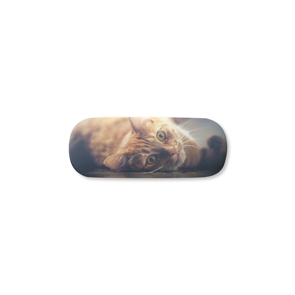 Diythinker Yellow Animal Cat Photograph Picture Glasses Case Eyeglasses Hard Shell Storage Spectacle Box