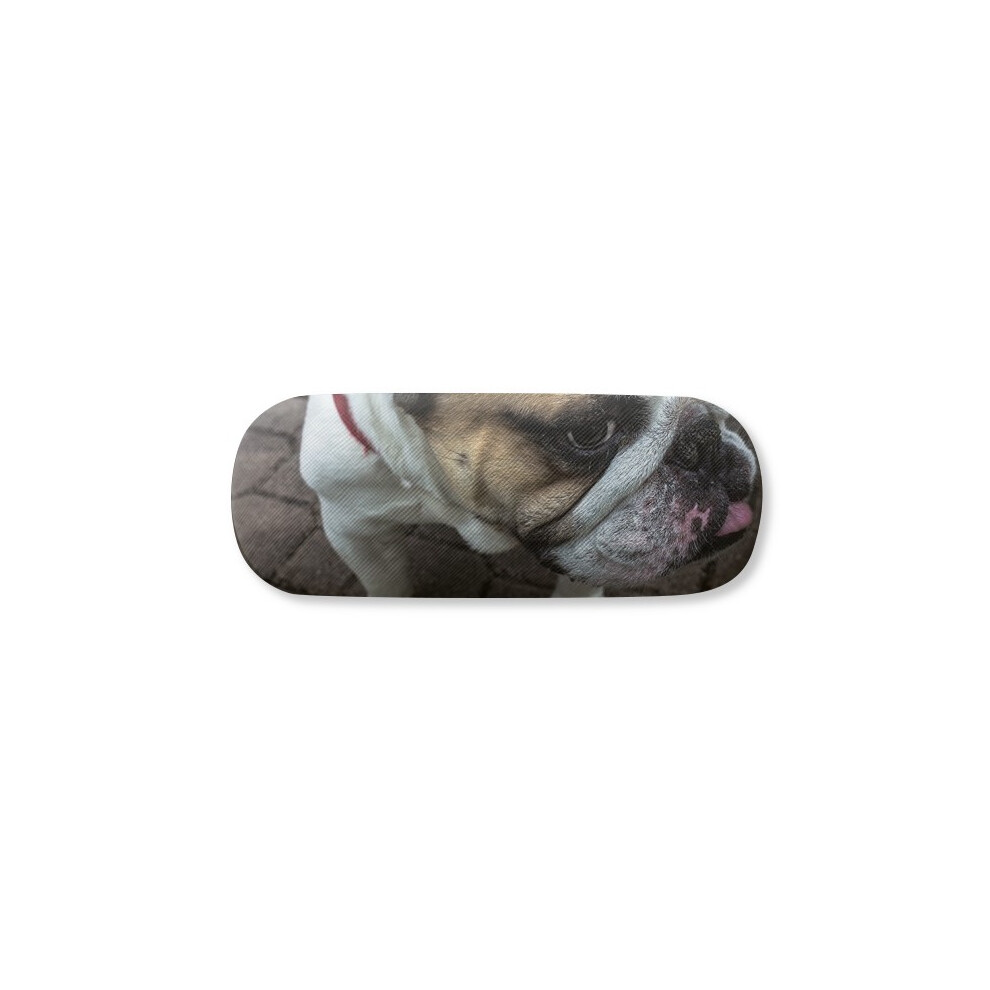 Diythinker Bulldog Pet Animal Photography Pictures Glasses Case Eyeglasses Hard Shell Storage Spectacle Box