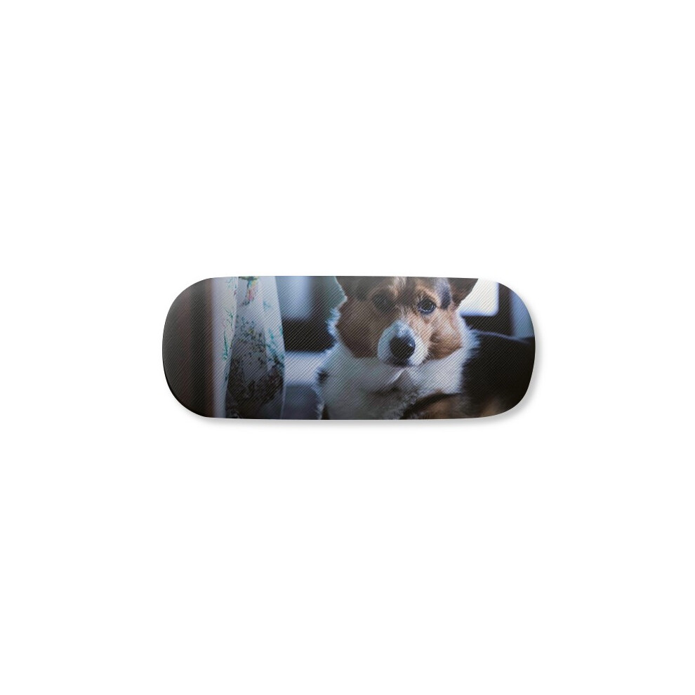 Diythinker Corgi Dog Pet Animal Lly Picture Glasses Case Eyeglasses Hard Shell Storage Spectacle Box