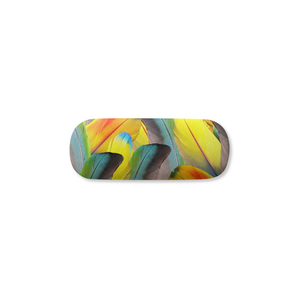 Diythinker Feather Colorful Flower Sunlight Glasses Case Eyeglasses Hard Shell Storage Spectacle Box
