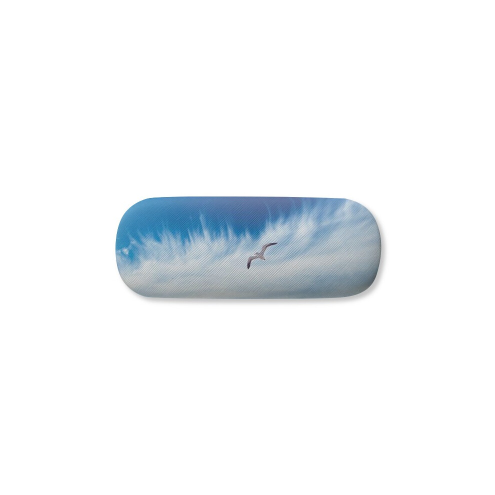Diythinker Blue Clouds Bird Glasses Case Eyeglasses Hard Shell Storage Spectacle Box