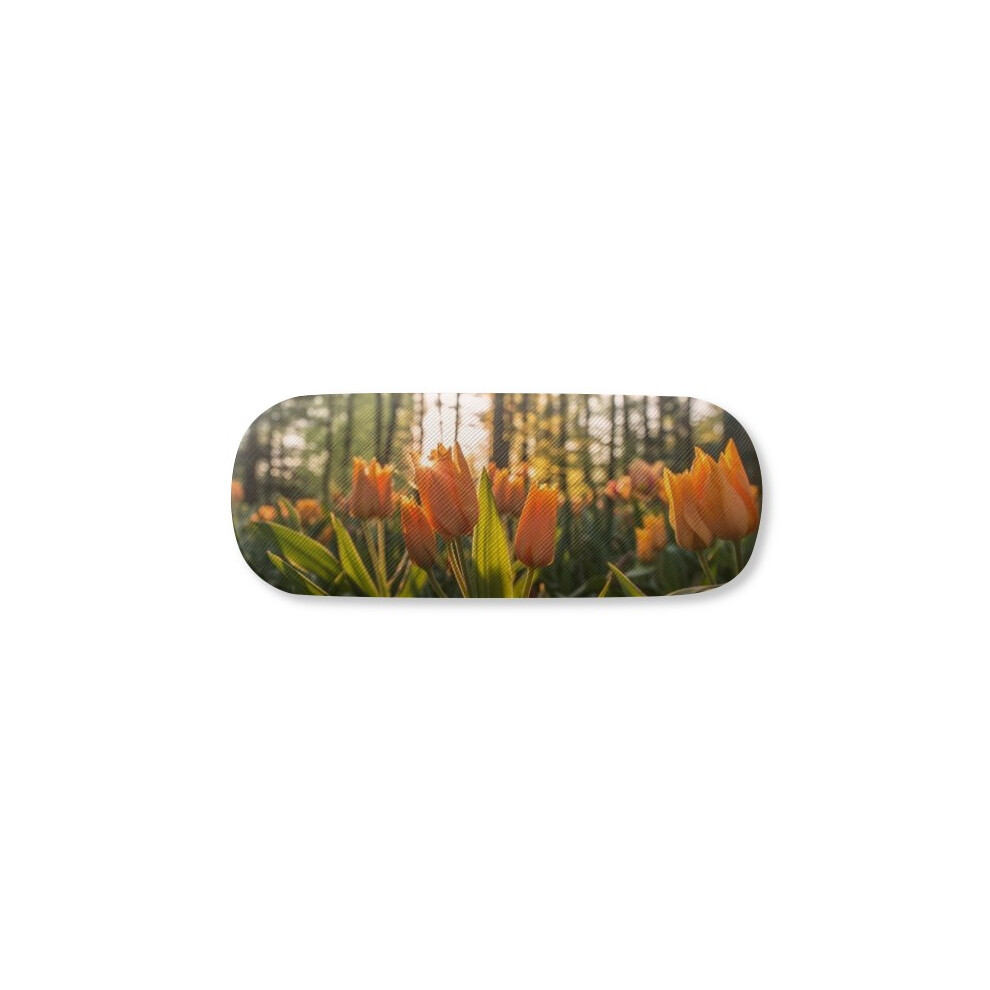 Diythinker Flower Ry Science Nature Scenery Glasses Case Eyeglasses Hard Shell Storage Spectacle Box