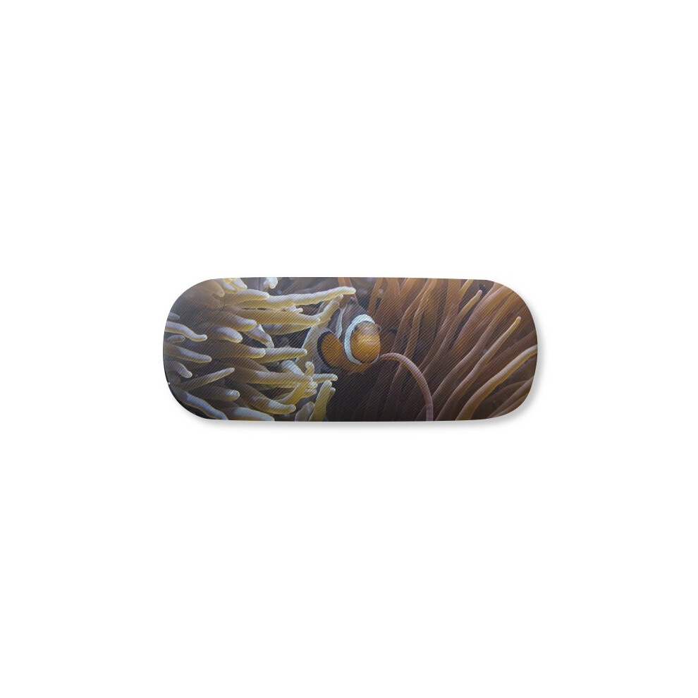 Diythinker Ocean Anem Fish Science Nature Glasses Case Eyeglasses Hard Shell Storage Spectacle Box