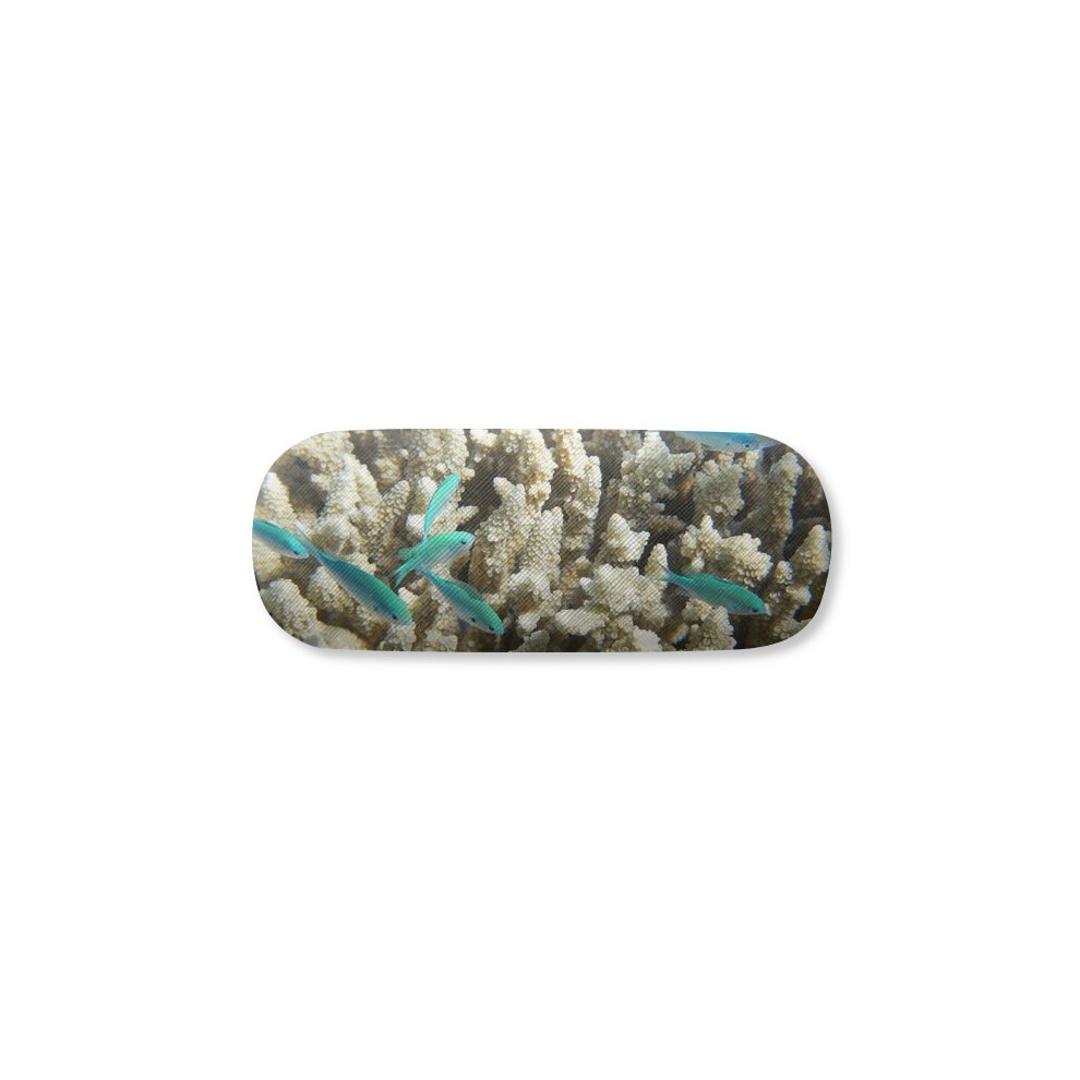 Diythinker Ocean Fish Science Nature Picture Glasses Case Eyeglasses Hard Shell Storage Spectacle Box