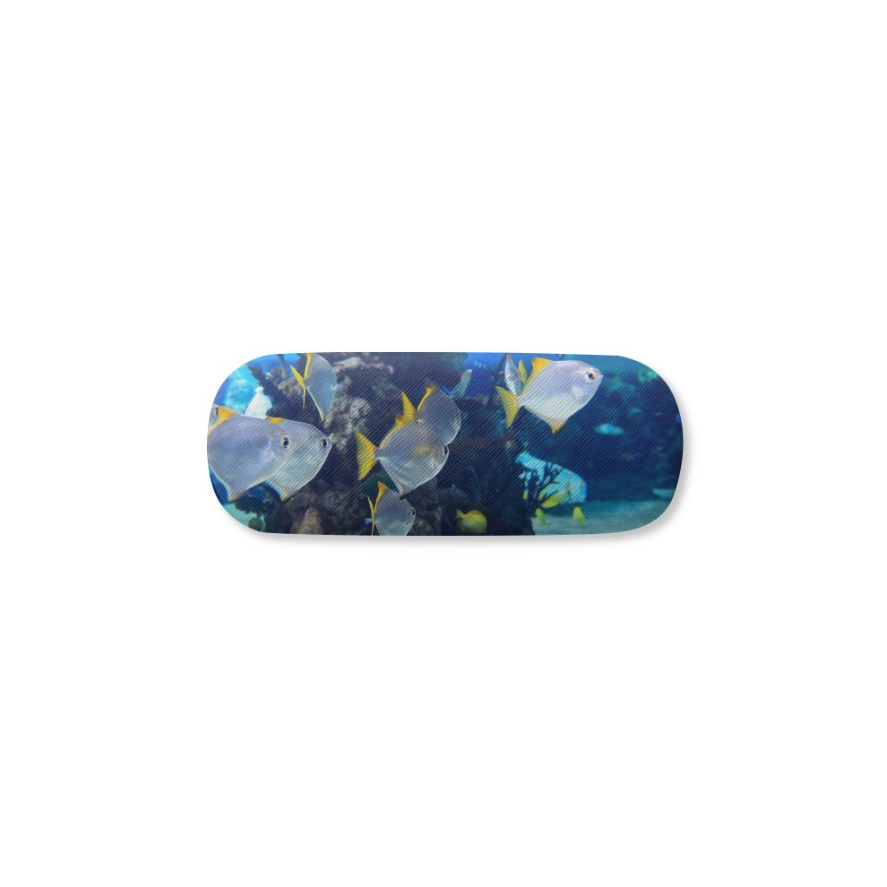 Diythinker Ocean Fish Science Nature Picture Glasses Case Eyeglasses Hard Shell Storage Spectacle Box
