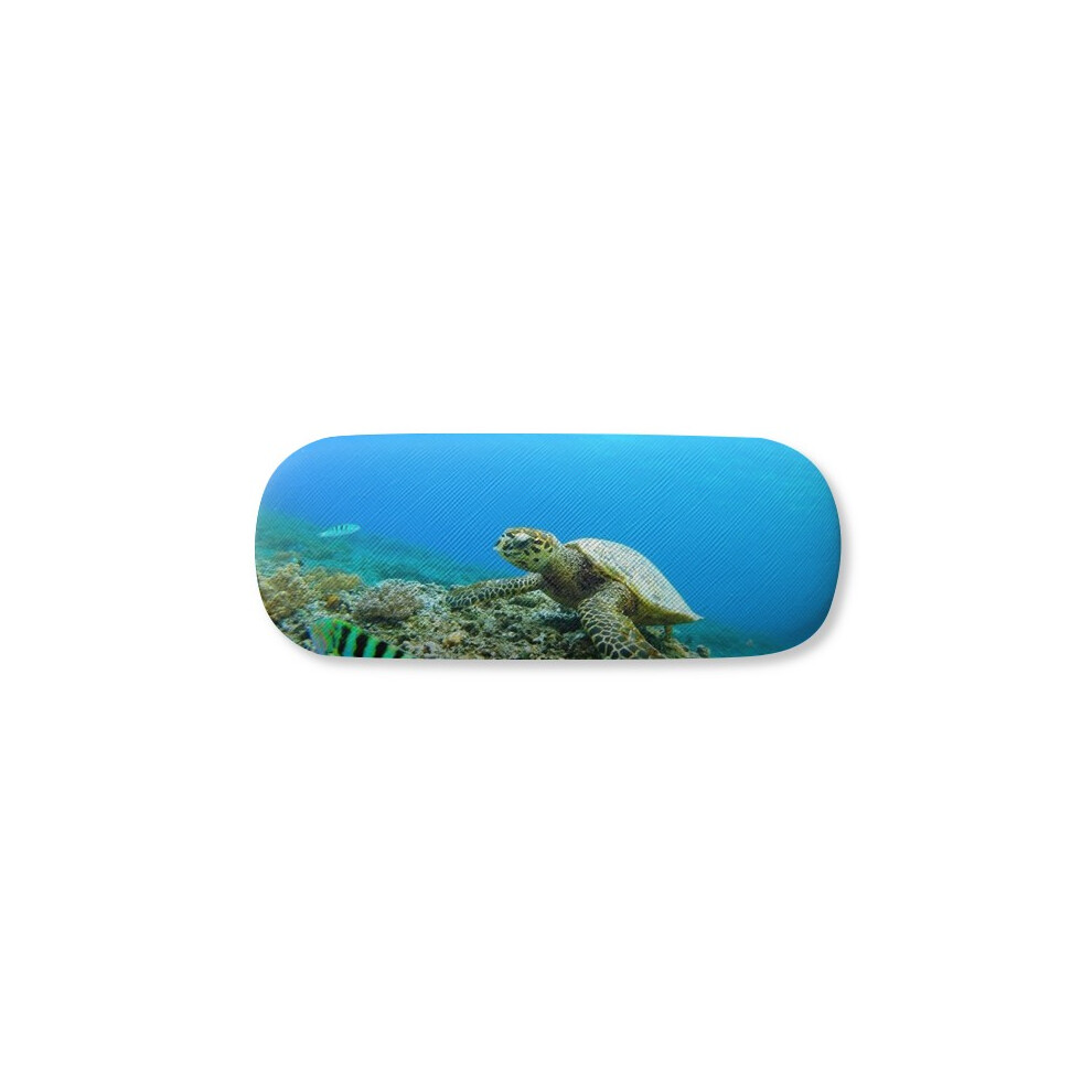 Diythinker Ocean Sea Turtle Fish Science Nature Picture Glasses Case Eyeglasses Hard Shell Storage Spectacle Box